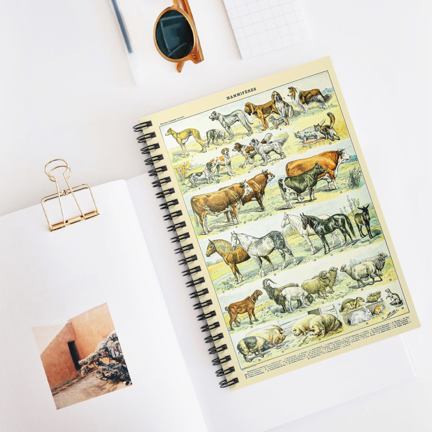 Wild Animals Spiral Notebook Displayed on Desk