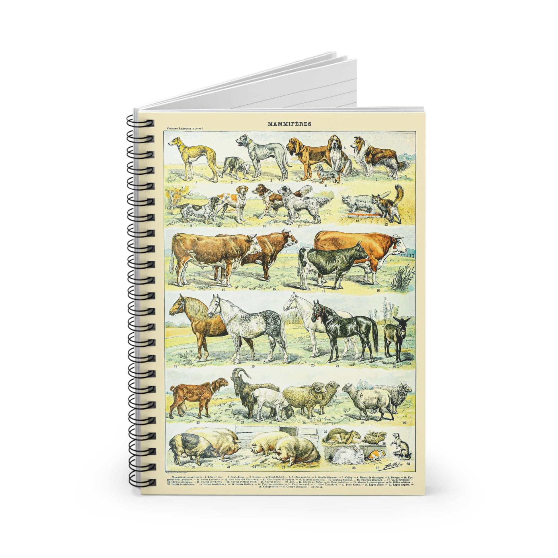 Wild Animals Spiral Notebook Standing up on White Desk