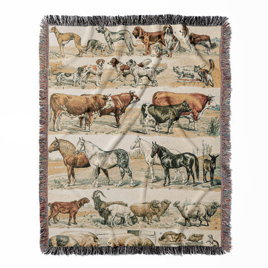 Wild Animals woven throw blanket, made of 100% cotton, featuring a soft and cozy texture with a farm animal chart for home decor.