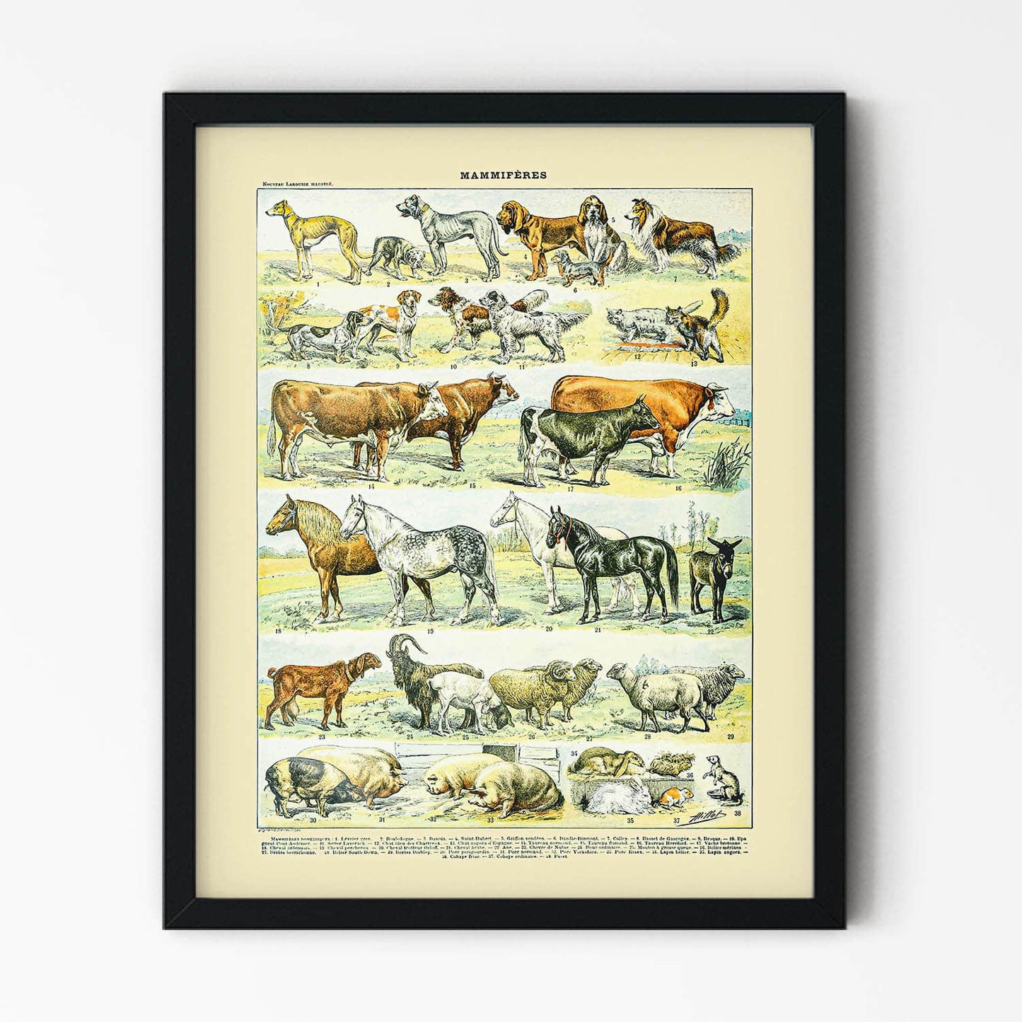 Farm Animals Painting in Black Picture Frame