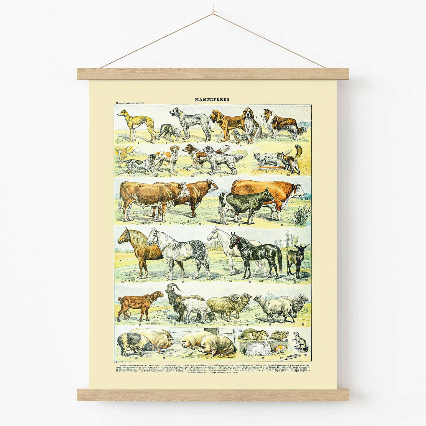 Farm Animals Art Print in Wood Hanger Frame on Wall