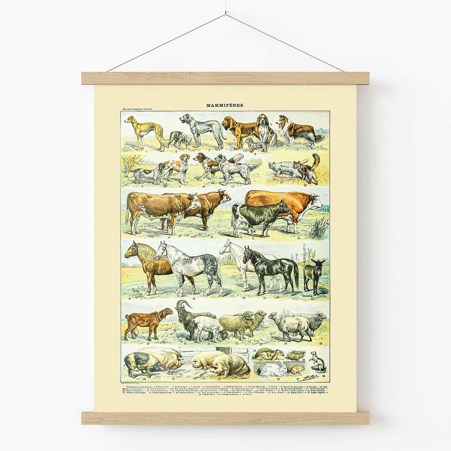 Farm Animals Art Print in Wood Hanger Frame on Wall