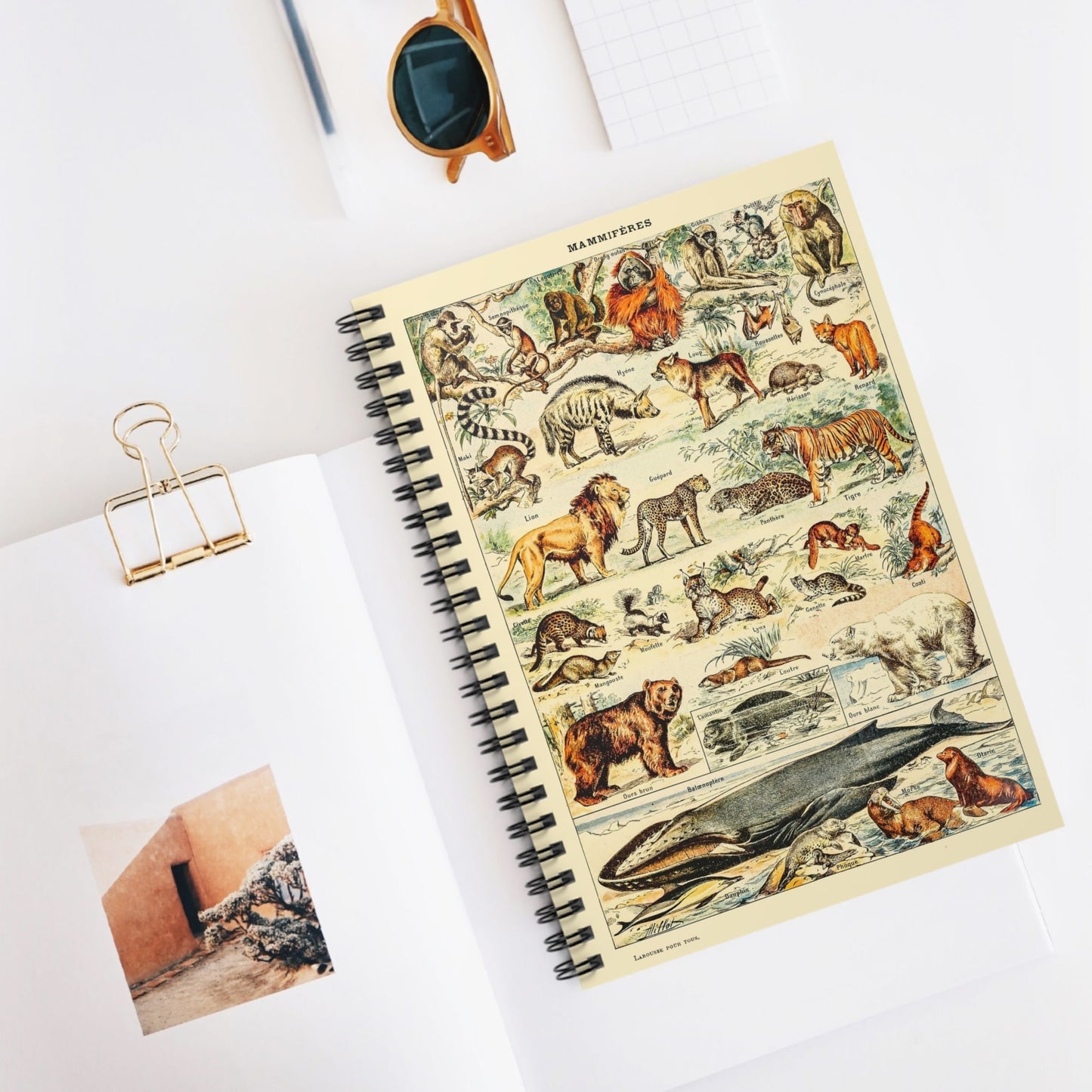 Wild Animals Spiral Notebook Displayed on Desk