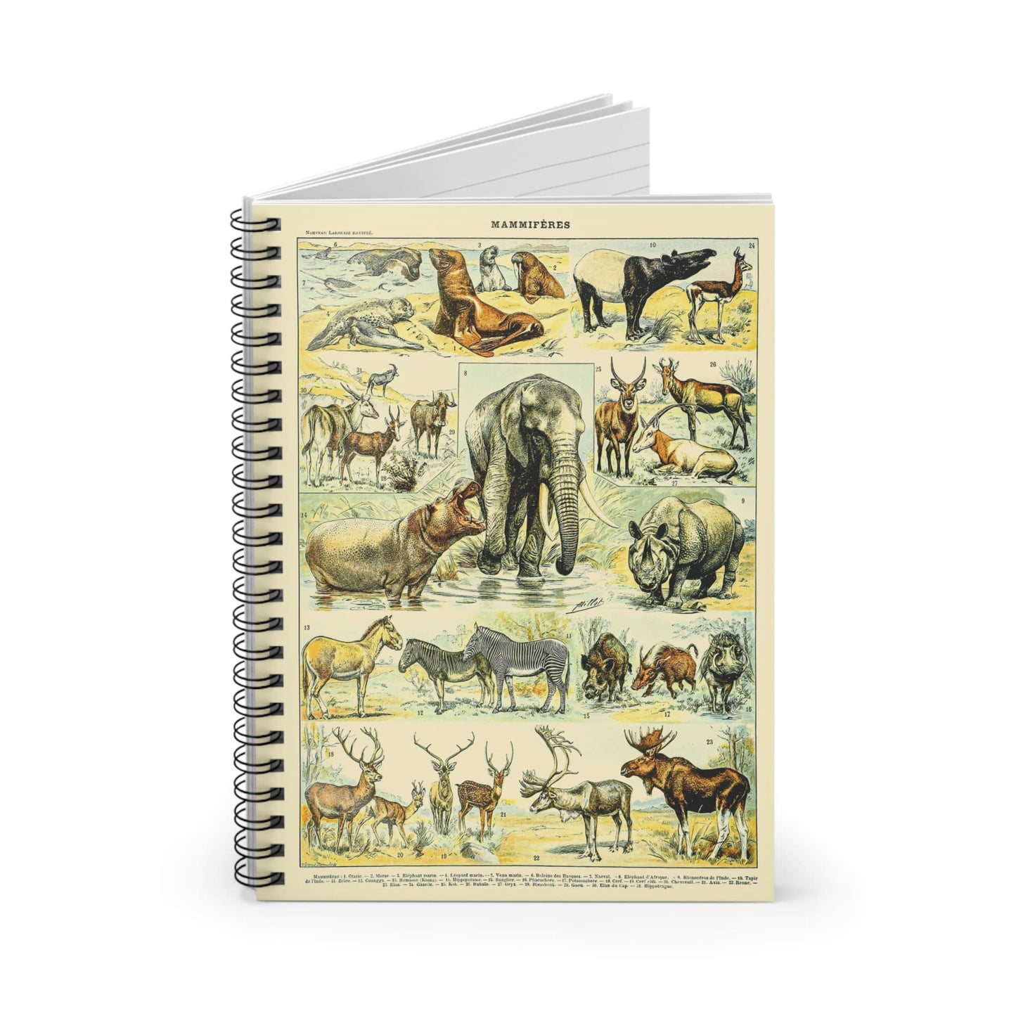 Wild Animals Spiral Notebook Standing up on White Desk