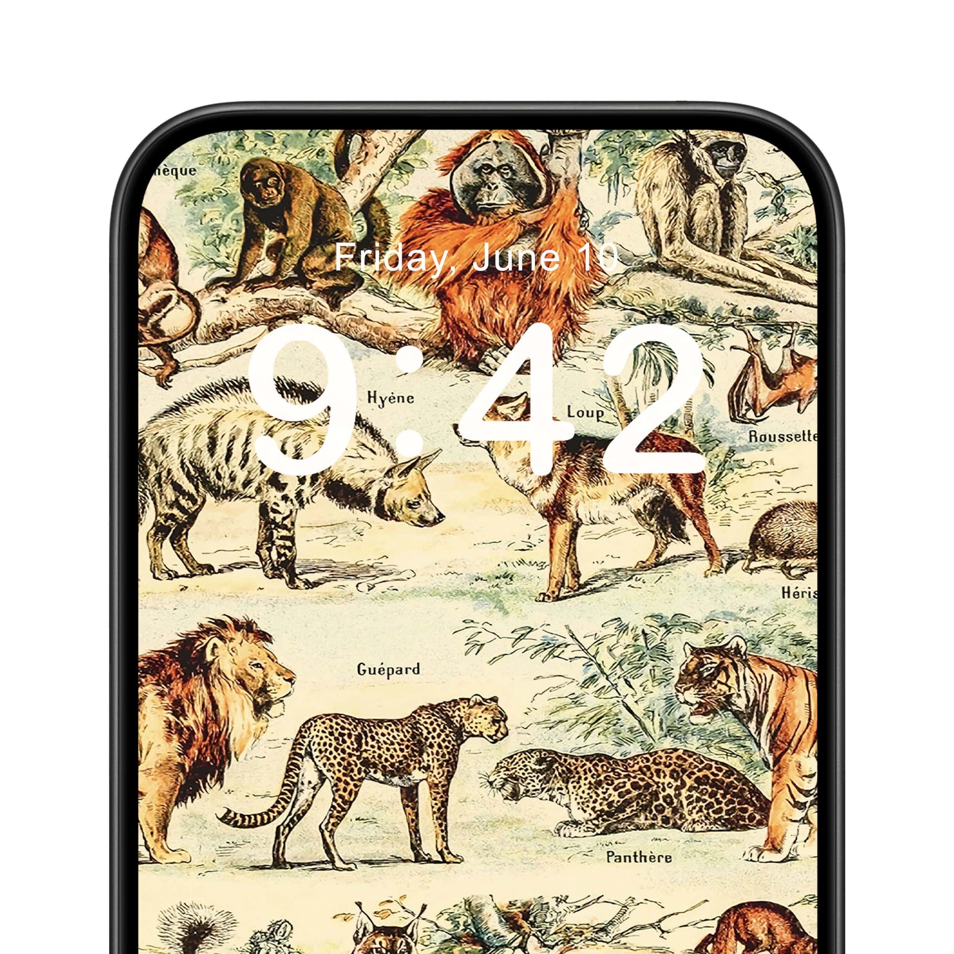 Wild Animals Phone Wallpaper Close Up