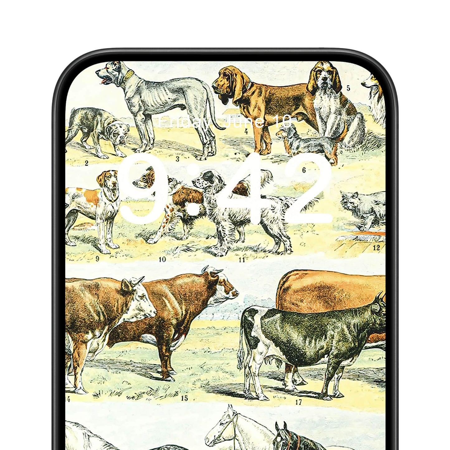 Wild Animals Phone Wallpaper Close Up