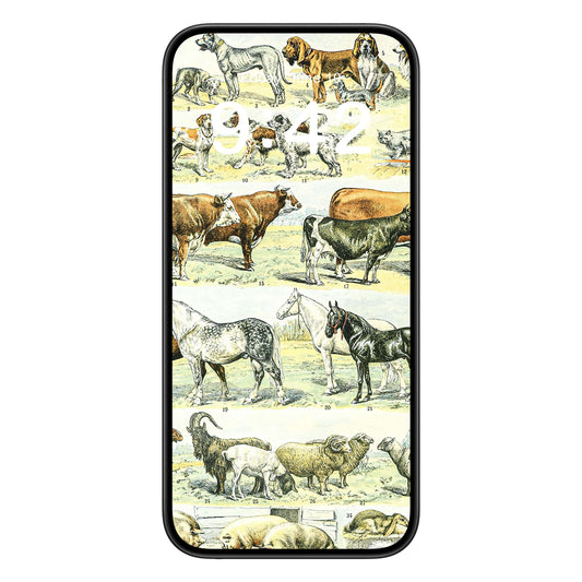 Wild Animals phone wallpaper background with farm animal chart design shown on a phone lock screen, instant download available.