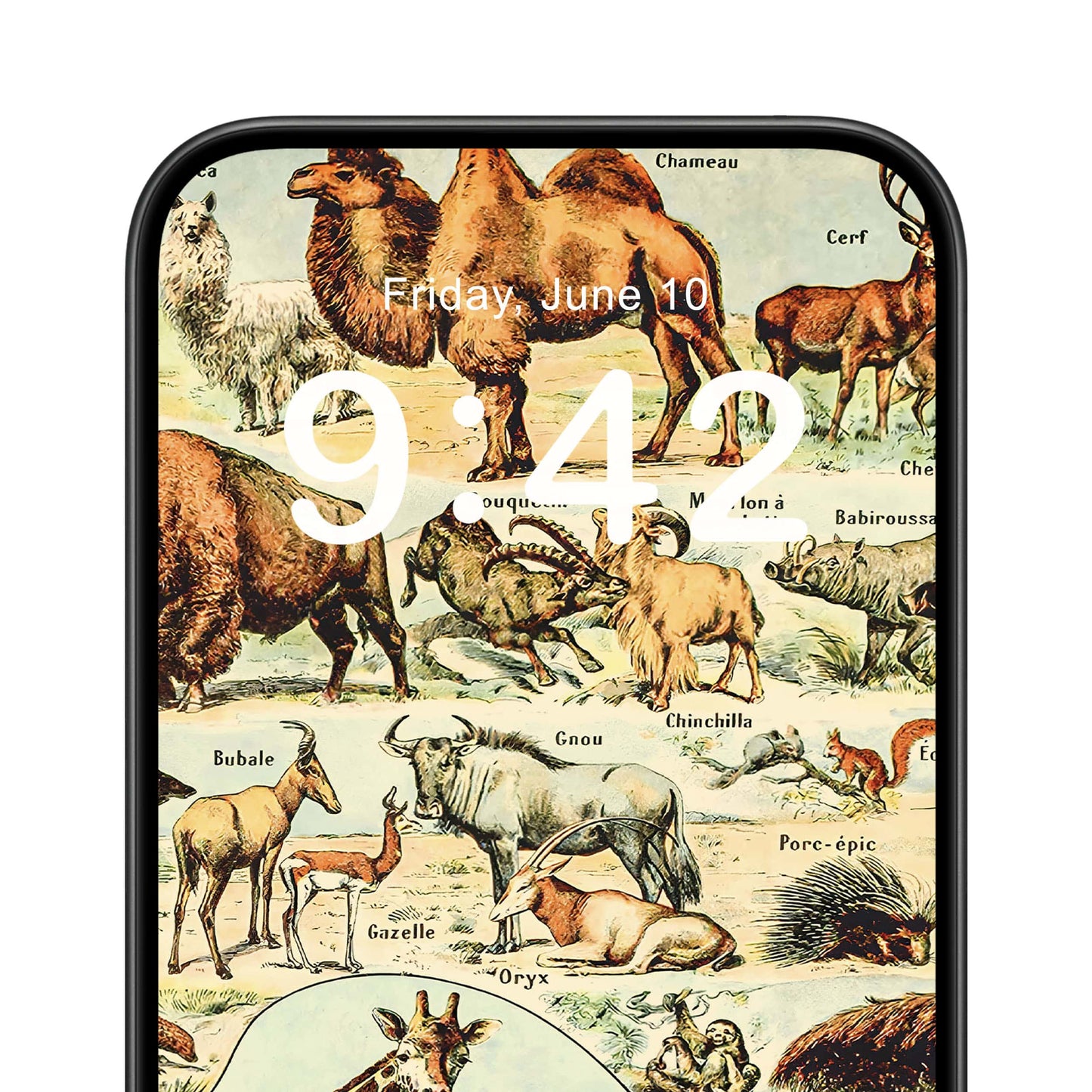 Wild Animals Phone Wallpaper Close Up