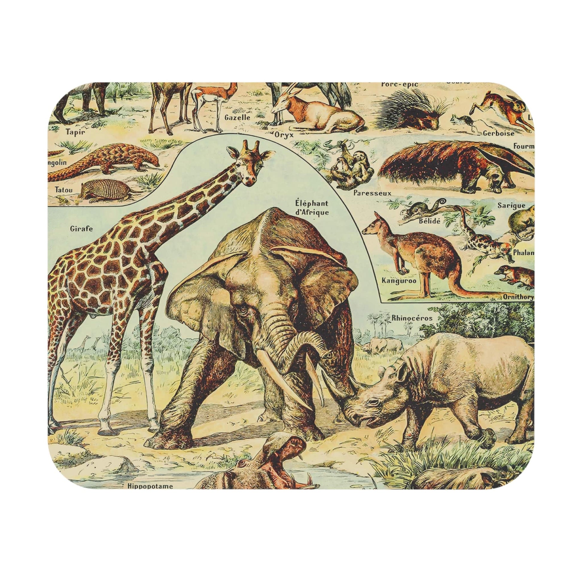 Wild Animals Mouse Pad featuring a safari animal chart design, ideal for desk and office decor.