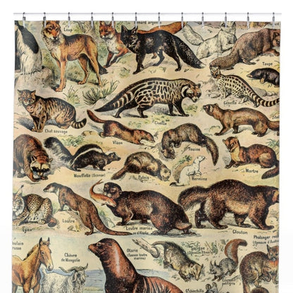 Wild Animals Shower Curtain Close Up, Science Shower Curtains