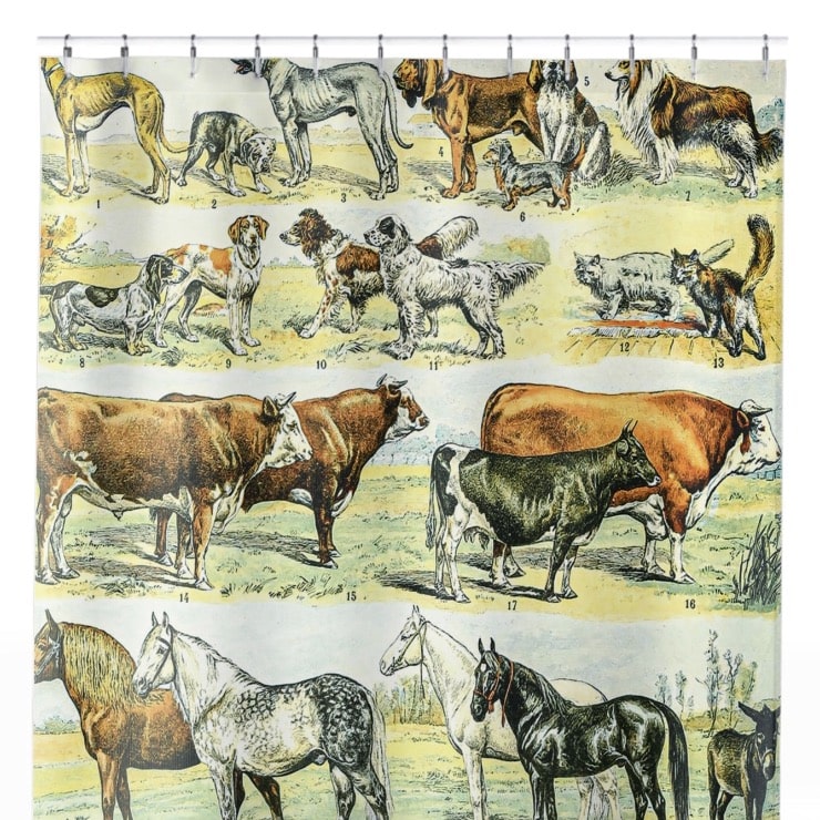 Wild Animals Shower Curtain Close Up, Science Shower Curtains