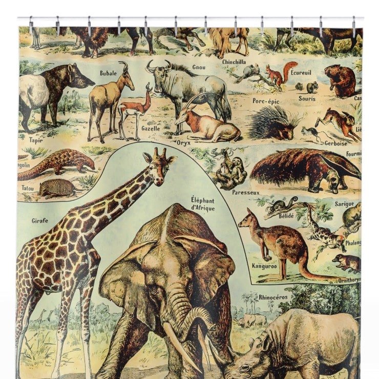 Wild Animals Shower Curtain Close Up, Science Shower Curtains
