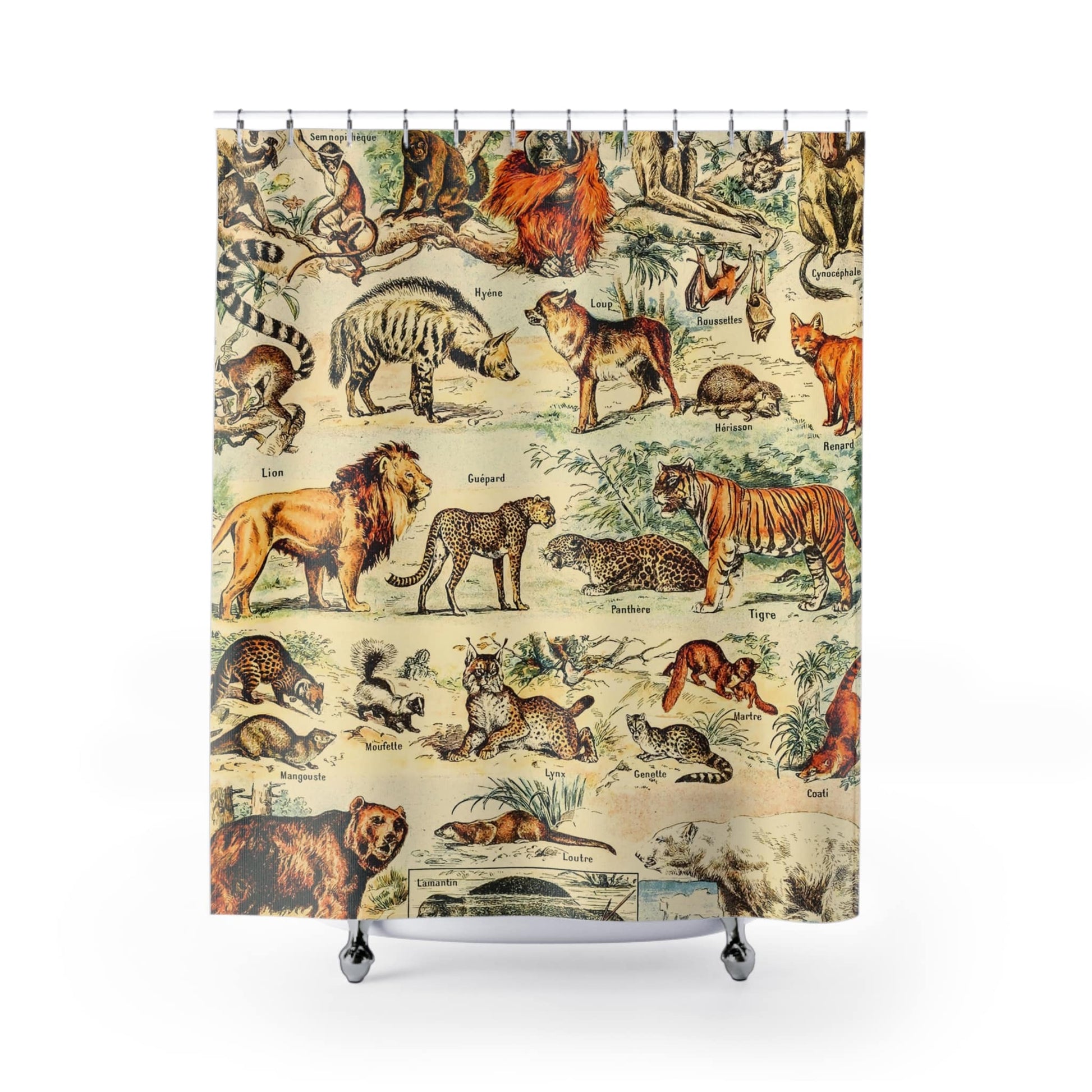 Wild Animals Shower Curtain with mammal chart design, educational bathroom decor featuring detailed mammal illustrations.