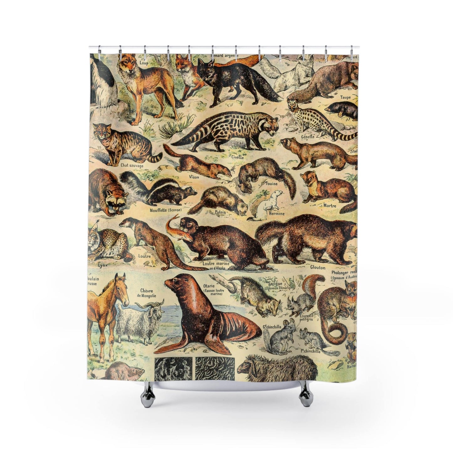 Wild Animals Shower Curtain with cute animal chart design, playful bathroom decor showcasing charming animal illustrations.