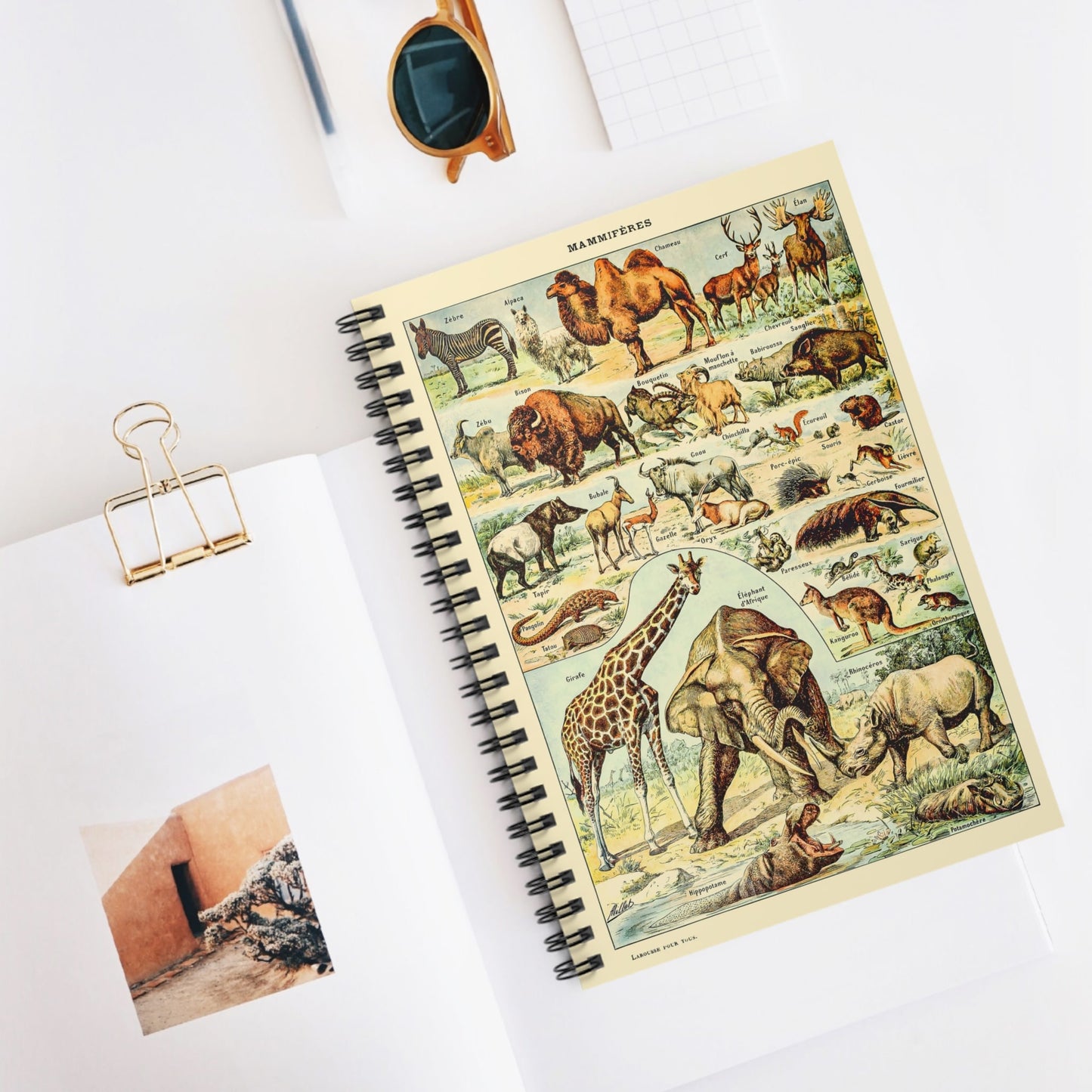 Wild Animals Spiral Notebook Displayed on Desk