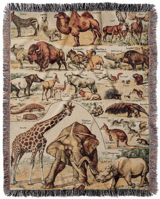 Wild Animals woven throw blanket, crafted from 100% cotton, offering a soft and cozy texture with a safari animal chart for home decor.