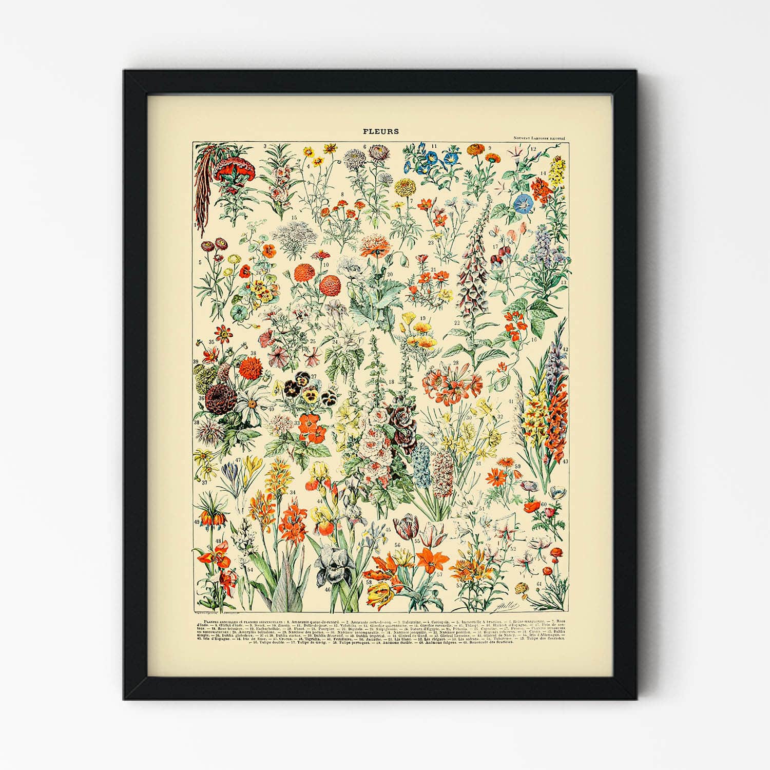 Wildflower Art Print in Black Picture Frame