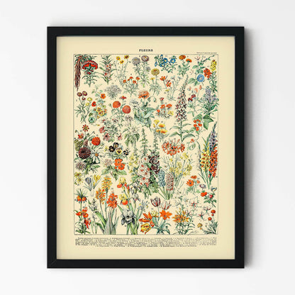 Wildflower Art Print in Black Picture Frame