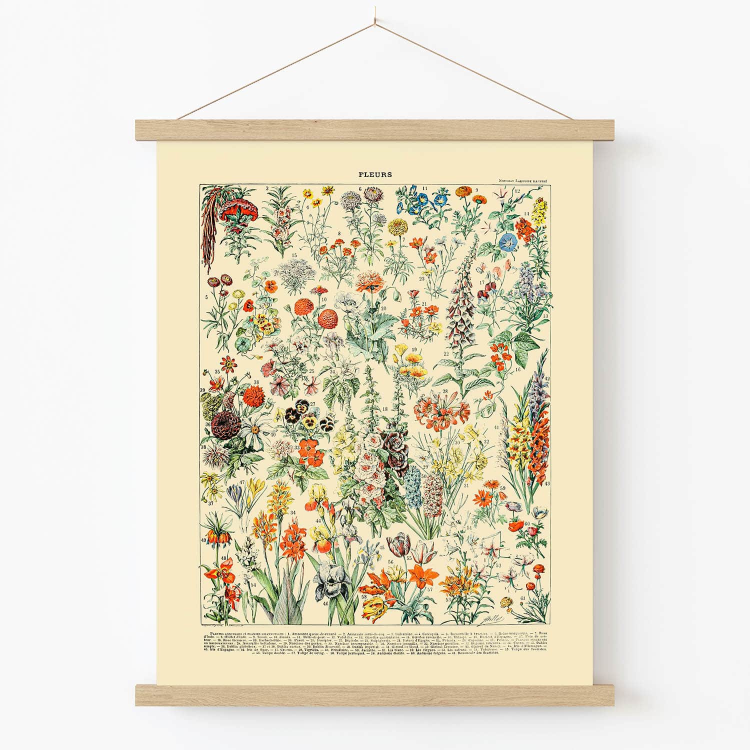 Wildflower Art Print in Wood Hanger Frame on Wall
