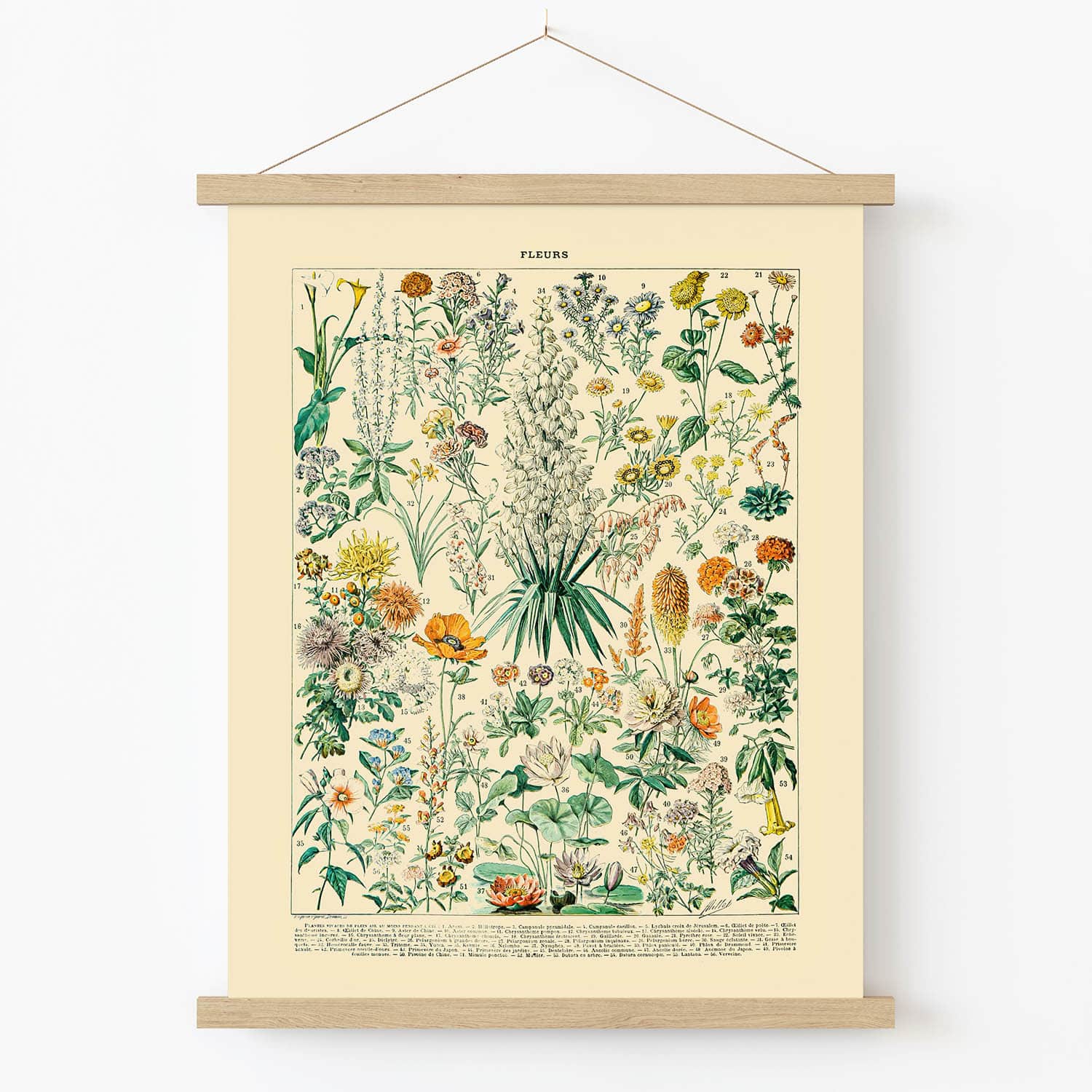 Wildflower Diagram Art Print in Wood Hanger Frame on Wall