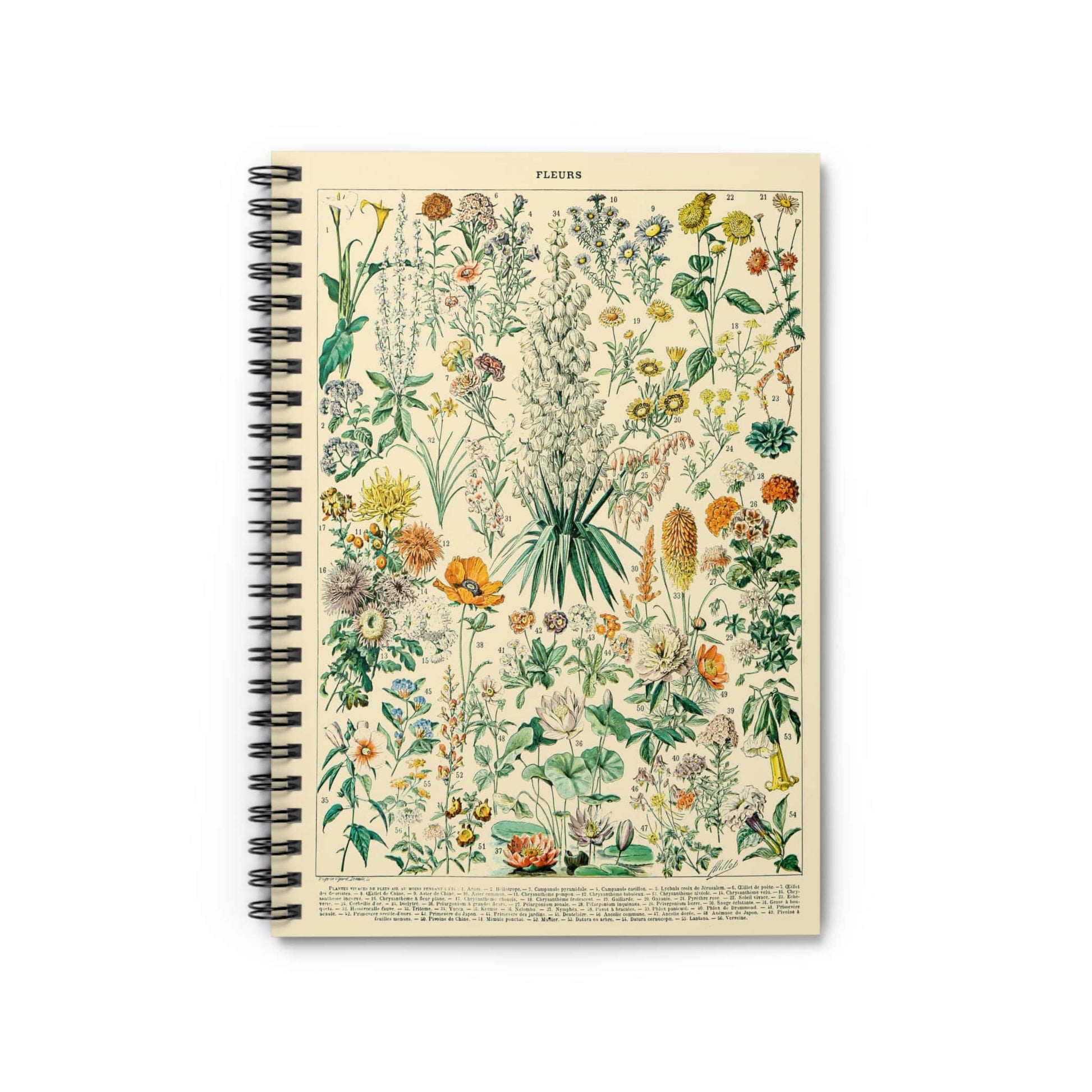 Wildflowers Notebook with floral cover, perfect for journaling and planning, featuring a variety of wildflower designs.