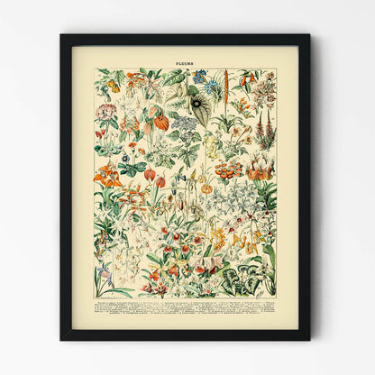 Wildflower and Plants Art Print in Black Picture Frame