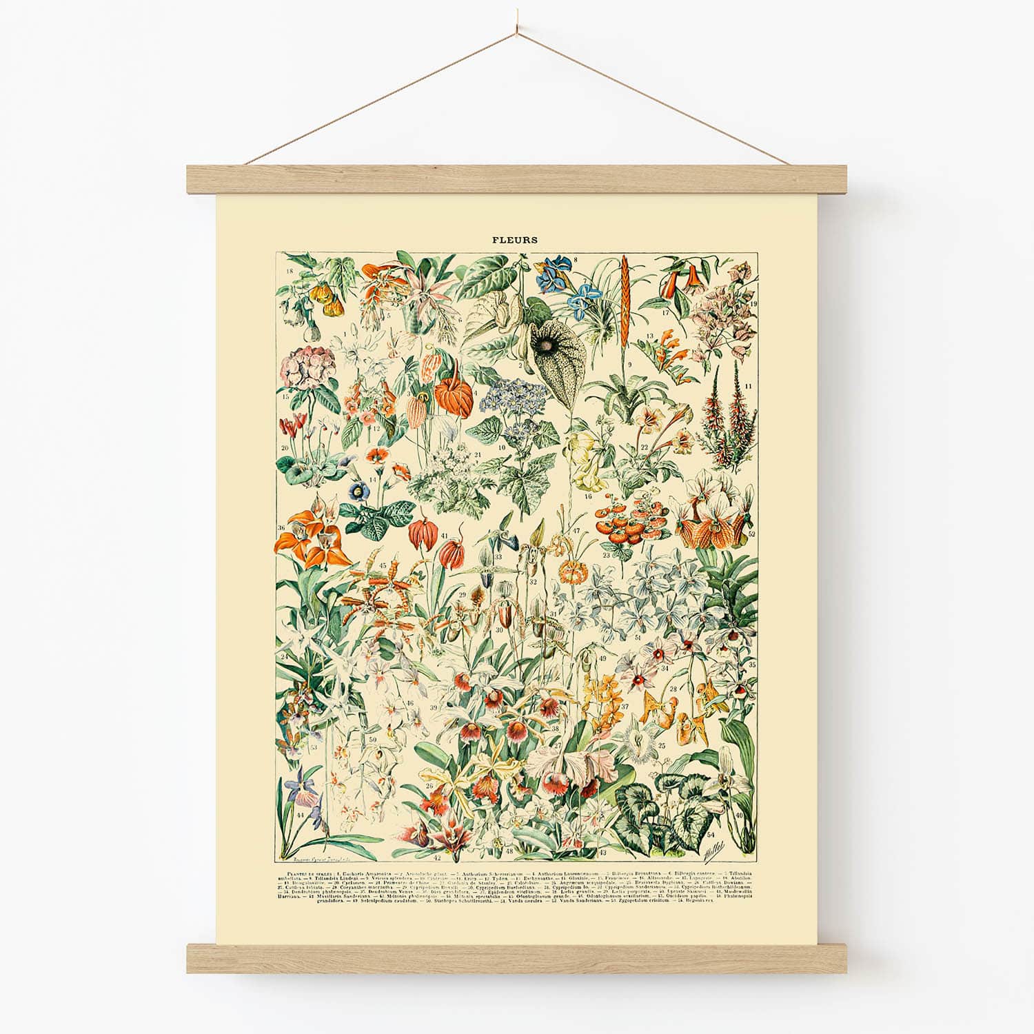 Wildflower and Plants Art Print in Wood Hanger Frame on Wall
