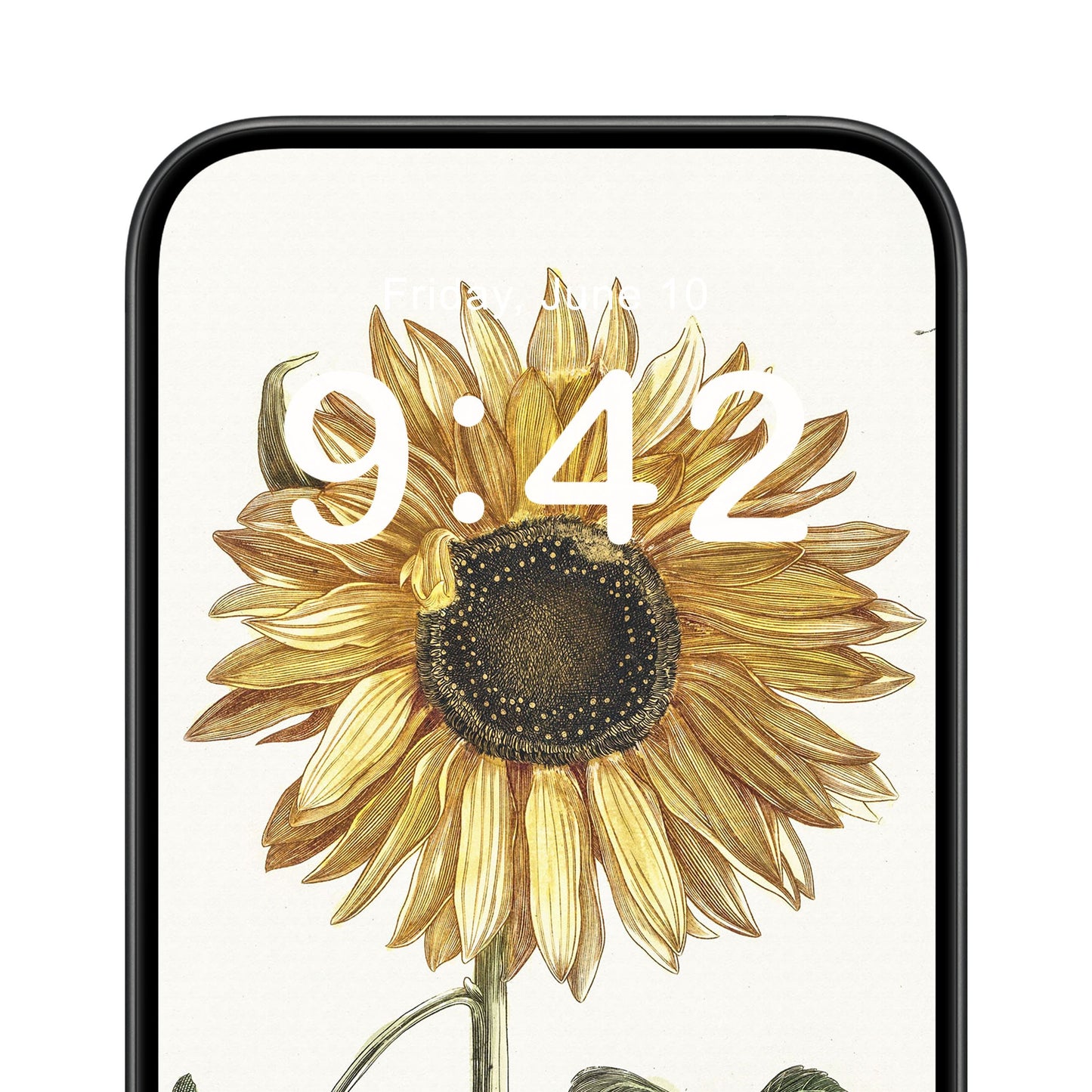 Yellow Sunflower Phone Wallpaper Close Up