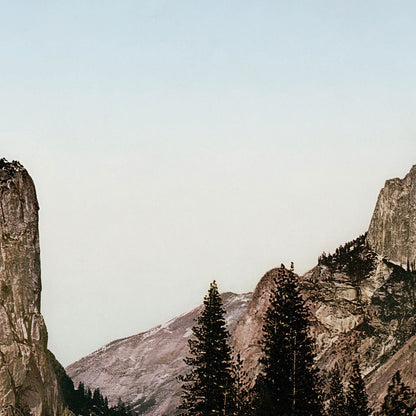 Yosemite National Park Art Print Close Up Detail Shot 2